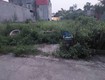 Cần tìm chủ mới, 88m2, mt5m, nguyên khê, đông anh, 5.25 tỷ, ô tô.