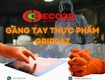Găng tay đa dụng grippaz pip 67 256