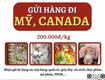 Gửi hàng đi usa, canada tiến việt express
