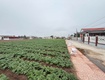 Bán đất nền ven biển quất lâm sẵn sổ full cư 
