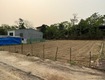 Bán đất tại thanh vân, tam dương, vĩnh phúc 