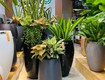 Giới thiệu thương hiệu luxnature đến từ germany