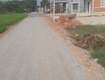 Siêu phẩm đất đẹp   đầu tư sinh lời   chủ cần bán...