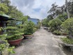 Bán 2537m2 đất thổ cư lý thường kiệt, thị xã lagi giá ngộp 3.35tr/m2