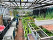 Cần tiền bán gấp nhà khương đình thanh xuân, dt35m2, 6tầng, nhà...