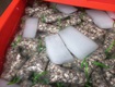 Thùng đá mỏ neo 800l nắp kín chắc chắn, nhựa dày, chống va đập 