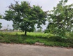 Bán đất 100m2 tđc vai réo phú cát, hòa lạc giá chỉ 3.9...
