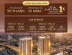Sun costa biểu tượng sống sang ven biển, đang khiến thị trường đảo...