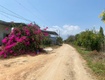 Bán đất dt: 2000m2, mặt tiền ngang 36,5m, giá tốt xã tân lập, hàm...