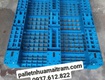 Bán pallet nhựa Trà Vinh 