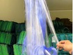 Lưới ba màn giăng các loại cá tphcm