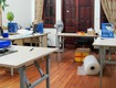 Cho thuê nhà phân lô kđt định công, hoàng mai, 85m2, 4 tầng, vỉa...