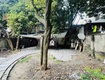 Bán đất thạch cầu, long biên 215m mt 10 giá 15 tỷ, kd,...