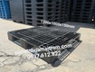 Pallet nhựa cũ tại tây ninh phân phối rộng khắp tỉnh