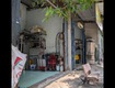 Chính chủ bán nhà mặt tiền đường 8m trường thị ngao p .tmt, q12: diện...