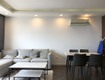 Cần cho thuê căn hộ 2pn cao cấp d.leroi 59 xuân diệu , quảng an,...