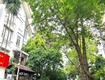 Bán nhà vip hoàng ngân, vỉa hè, ô tô tránh, ở kết hợp kd, 2...