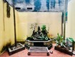 Bán nhà phố vũ trọng phụng, thanh xuân, sổ đỏ, vị trí vàng 62m2 x...