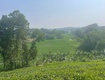Bán 1440m2 đất tại thôn 2, Ba Trại, Ba Vì, Hà Nội. Giáp dự án FLC View...