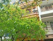 Cho thuê nhà liền kề mỹ đình làm văn phòng công ty