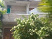 Bán nhà 3 tầng xe hơi ngủ trong nhà 93m2 ...