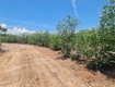 Bán 2000m2 đất thổ cư hẻm lý thường kiệt, thị xã lagi giá đầu tư