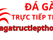 Dagatructiepthomo 