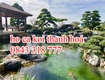 Bể cá koi Thanh Hoá 