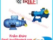 Bơm cánh gạt Bombas Trief   Bombas vane pump 