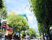 đất thổ cư mặt tiền kinh doanh linh xuân thủ đức, 89m , shr, cho...