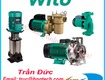 Bơm ly tâm Wilo   Wilo centrifugal pump 