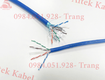 Cáp mạng chống nhiễu altek kabel chính hãng 
