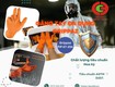 Eco3d   chuyên găng tay chống cắt chính hãng, đạt chuẩn quốc tế 