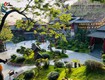 Triển lãm cây cảnh nghệ thuật   Thiên Linh Kỳ Viên 