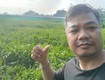 đất 2592m2 có 26 tỷ x mặt tiền nguyễn thị điệp đông thạnh hóc môn...