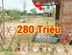 280 triệu sang tên 1000m2 có thổ cư, gần dt 818, mỗi tháng trả thêm...