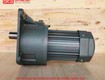 động cơ giảm tốc mặt bích wanshsin gv32 1500w 10s