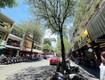 Bán nhà hàng xóm phố đi bộ nguyễn huệ mặt tiền đường tôn thất thiệp, quận...