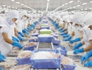 Bán nhà máy chế biến thuỷ hải sản tại tiền giang, đang hoạt động và đủ tiêu chuẩn...