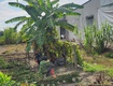 130m2 thổ cư view kênh ở xã hòa khánh nam, đức hòa giá 1,15 tỷ...