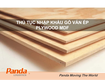 Thủ tục nhập khẩu gỗ ván ép plywood mdf