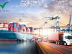 Tác động của cảng lạch huyện giai đoạn 2 đến ngành vận tải 
