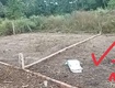 Chính chủ bán đất 95m2 bùi thị điệt, xã nhuận đức, củ chi
