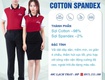 Đồng Phục Doanh Nghiệp Hải Phòng 