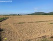 Đất cần giờ cần thanh lí gấp 