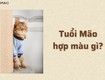 Sự kết hợp hoàn hảo của tuổi mão và màu sắc 