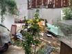 Bán đất trung tâm bình thạnh, 74m nở hậu giá 6 tỷ tl ...