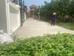Mình cần bán đất tráng việt, mê linh alo mình chính chủ...