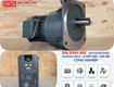 động cơ giảm tốc mặt bích wanshsin gv40 1500w 60s 