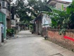Hàng hiếm  giang biên  ô tô vào đất   cách ô tô...